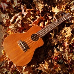 StewMac Cutaway Ukulele Kits - StewMac 8 StewMac Cutaway Ukulele Kits - StewMac -Luthier Tools Shop 5854 3 in use 2 1200