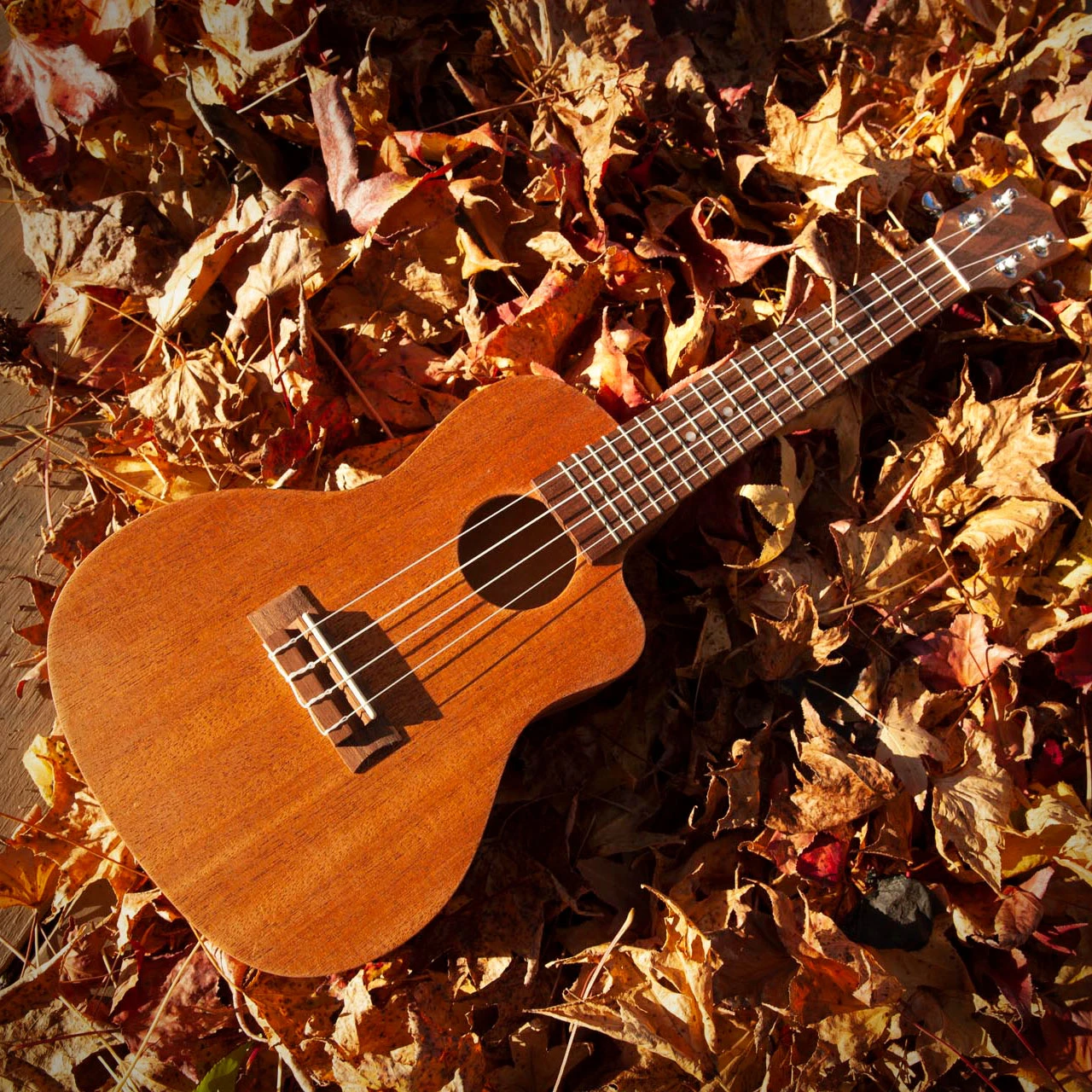 StewMac Cutaway Ukulele Kits - StewMac 3 StewMac Cutaway Ukulele Kits - StewMac - Image 3